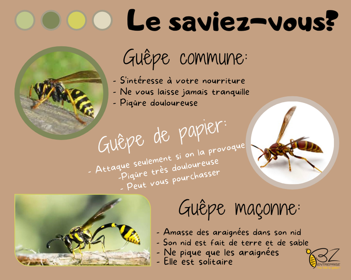 🐝🐝Ennuyé par un nid de guêpes ou de frelons?🐝🐝

BZ entreprise est la solution rapide et efficace à votre problème.

Nous vous proposons un service de qualité avec une garantie de résultat à un prix imbattable.

N'hésitez pas à nous contacter pour tout renseignement complémentaire.

✅ Intervention rapide
✅ Tarif attractif (60€ ttc)
✅ Garantie de résultat