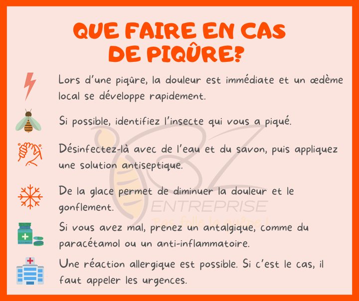 Nous vous proposons un service de qualité avec une garantie de résultat à un prix imbattable.

🐝🐝 N'hésitez pas à nous contacter pour tout renseignement complémentaire.🐝🐝

✅ Intervention rapide
✅ Tarif attractif (50€ htva)
✅ Garantie de résultat

#destructionguepes #guepes #frelon #peruwelz #blaton #bernissart #beloeil #basecles #quevaucamps #leuze #frasnes #ath #antoing #brunehaut #rumes #tournai #chievres #saintghislain #hensies ....