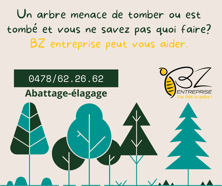 Suite à la récente tempête🌬🌪, BZ entreprise vous propose ses services pour l’abattage et l’élagage de vos arbres.🌲🌳🍂🍂