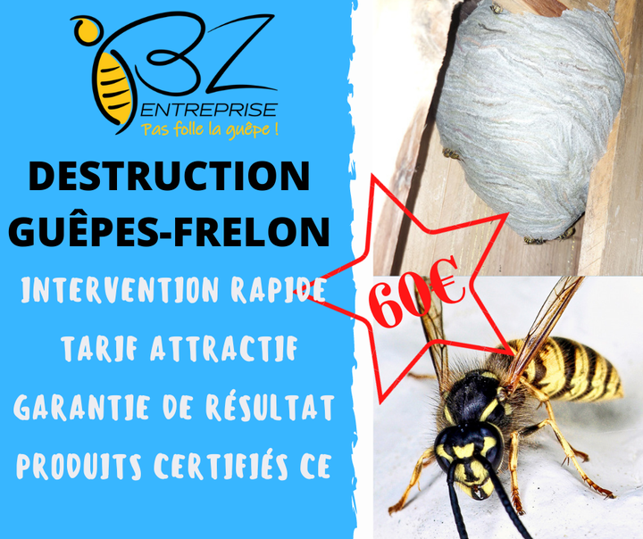 🐝🐝Ennuyé par un nid de guêpes ou de frelons?🐝🐝

BZ entreprise est la solution rapide et efficace à votre problème.
Nous vous proposons un service de qualité avec une garantie de résultat à un prix imbattable.

N'hésitez pas à nous contacter pour tout renseignement complémentaire.

✅ Intervention rapide
✅ Tarif attractif (60€ ttc)
✅ Garantie de résultat
✅ 0478/62.26.62.