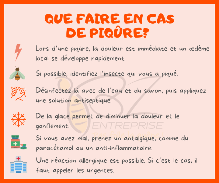 🐝🐝Ennuyé par un nid de guêpes ou de frelons?🐝🐝

BZ entreprise est la solution rapide et efficace à votre problème.

Nous vous proposons un service de qualité avec une garantie de résultat à un prix imbattable.
N'hésitez pas à nous contacter pour tout renseignement complémentaire.

✅ Intervention rapide
✅ Tarif attractif (60€ ttc)
✅ Garantie de résultat
✅ 0478/62.26.62.