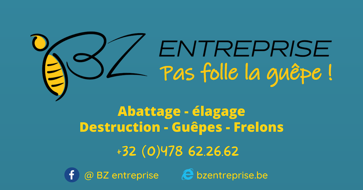 Logo BZ Entreprise ty Destruction Guêpes et Frelons